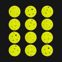 Mini Training Pickleballs (12 Pack)