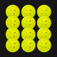 X-40 Outdoor Pickleballs (12 Pack Mesh)